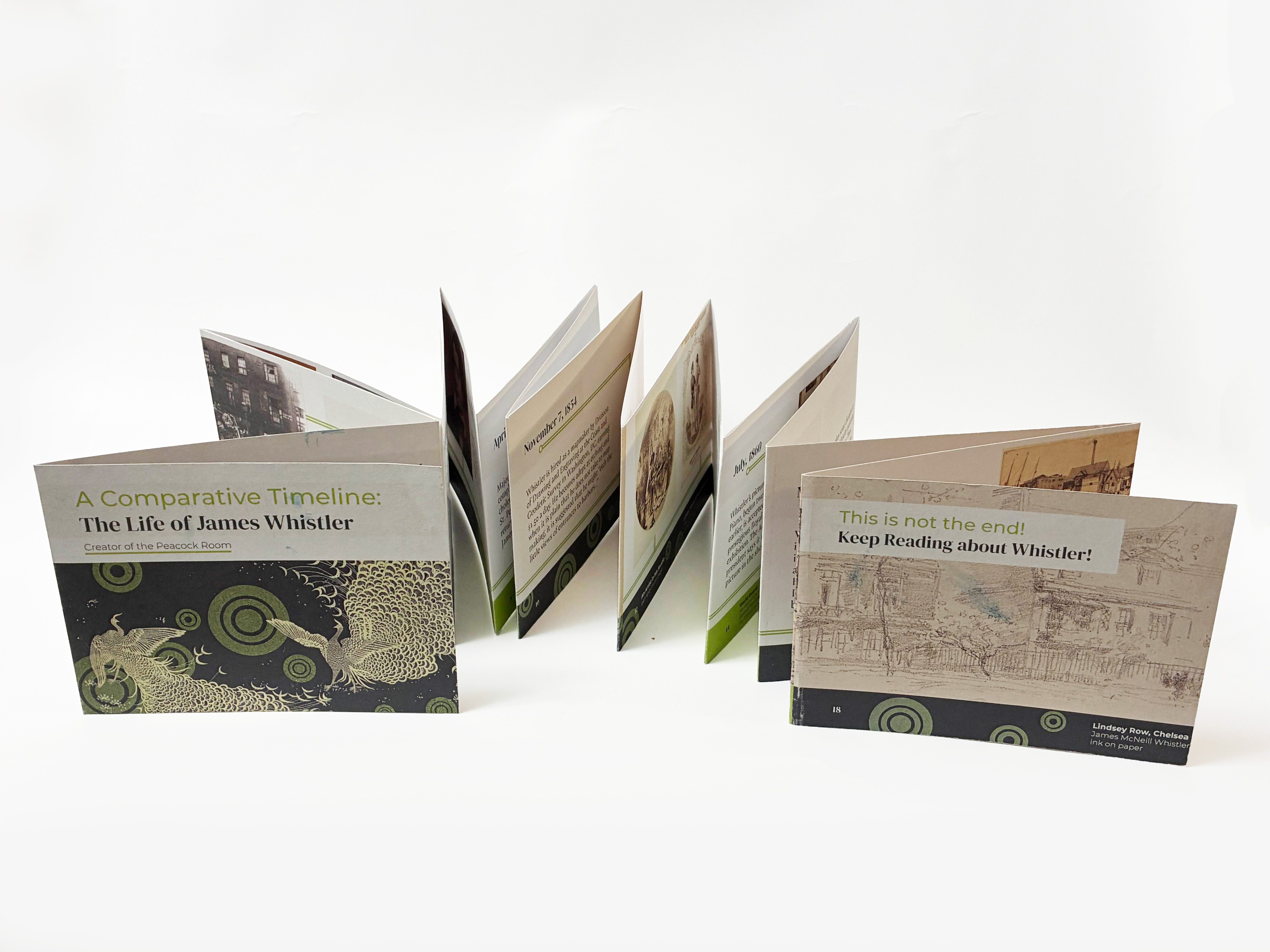 photograph of the timeline accordion fold spread out on a white background